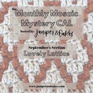 Lovely Lattice – Overlay Mosaic Afghan Strip – September – Monthly Mosaic Mystery CAL – FREE Chart