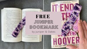 Juniper Bookmark – Alpine Stitch – FREE Crochet Pattern