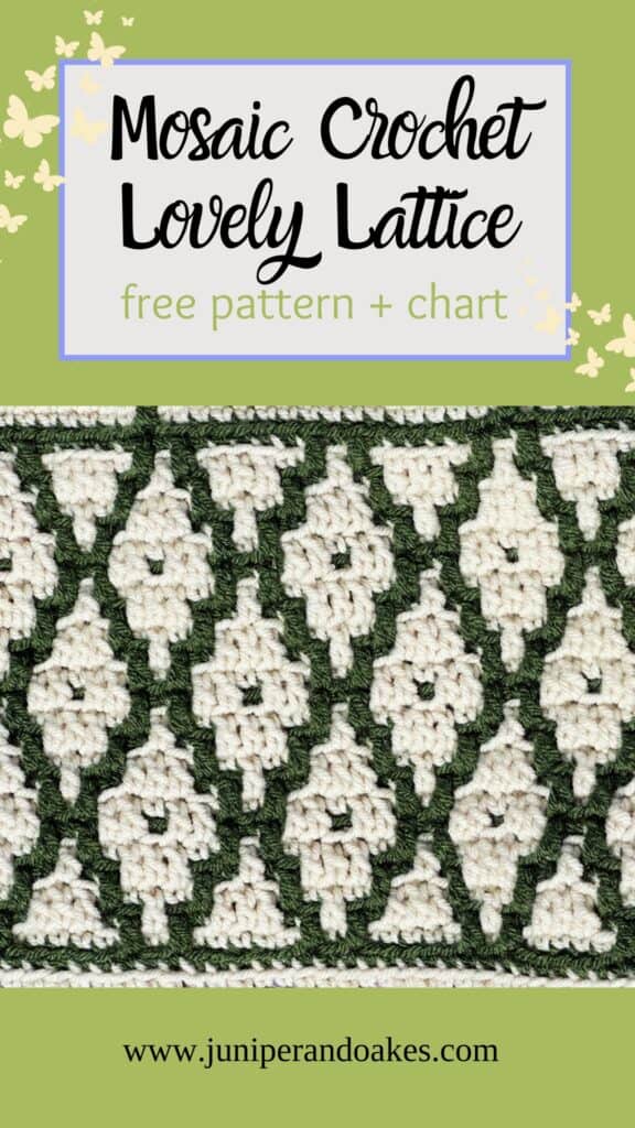 Mosaic Crochet Lattice Pattern - Pin